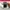 Adidas Streetwear Casual Track jacket Pria white red photo 4