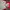 Adidas Streetwear Casual Track jacket Pria white red photo 3