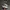 Nike Sportswear Sneakers Pria cream black photo 1