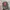 Realtree Vintage Y2K Hat Pria tan gray photo 1