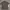 Uniqlo Streetwear Luxury Polo shirt Pria gray photo 3