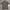 Uniqlo Streetwear Luxury Polo Shirt Pria Gray