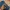 Streetwear Skater Jeans Pria blue photo 6