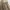Vintage Casual Skirt Wanita khaki cream photo 4