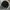 Luxury Minimalist Sweatshirt Pria black photo 1
