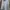 BOY London Streetwear Luxury Hoody Pria white photo 2