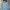 Luxury Sweatshirt Pria blue photo 2