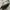 CELINE Minimalist Casual Shoulder bag Wanita black photo 5