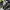 Vintage Biker Suit Pria black gray photo 4