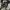 Vintage Biker Suit Pria black gray photo 8
