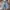 Streetwear Y2K Short Pria multicolor photo 2