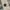 Burberry Casual Polo shirt Pria multicolor photo 3