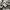 Lafudge Casual Formal shirt Pria gray photo 4