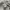 Lafudge Casual Formal shirt Pria gray photo 5