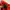 Uniqlo Sportswear Windbreaker Pria red photo 6