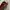 Vintage Avant Garde Shoulder bag Wanita burgundy photo 4
