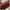 Vintage Avant Garde Shoulder bag Wanita burgundy photo 6