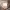 MCM Luxury Casual Tote bag Wanita brown photo 3