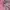 Le Coq Sportif Casual Windbreaker Wanita pink blue photo 7
