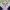 Le Coq Sportif Casual Windbreaker Wanita pink blue photo 3
