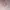 Lolita Coquette Babydoll dress Wanita pink photo 3