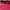 Kangol Streetwear Sportswear T-shirt Pria pink red photo 3
