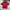 Kangol Streetwear Sportswear T-shirt Pria Pink Red