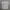 Champion Sportswear Jersey Pria White