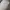 Jeep Luxury Sweatshirt Pria white photo 1