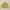 Vintage Harrington jacket Pria yellow photo 1