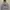 Nike Vintage Y2K Hoody Pria gray photo 2
