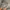 Nike Vintage Y2K Hoody Pria gray photo 4