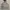 Stussy Vintage Y2K Hoody Pria gray photo 1