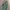 Streetwear Y2K Jeans Pria green photo 3