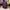 Y2K Gorpcore Bag Pria black red photo 1
