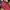 Y2K Gorpcore Bag Pria black red photo 8