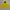 Outerwear Kids yellow photo 1