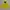 Outerwear Kids Yellow