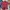 Timberland Streetwear Sportswear Polo shirt Pria multicolor photo 1