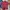 Timberland Streetwear Sportswear Polo Shirt Pria Multicolor
