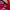 Fila Casual Polo shirt Pria red photo 3