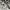 Diane Von Furstenberg Luxury Lolita Midi dress Wanita navy photo 7