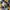 Dickies Casual Casual shirt Pria white yellow photo 6