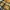 Dickies Casual Casual shirt Pria white yellow photo 5