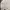 Polham Luxury Hoody Pria white photo 2