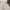 Polham Luxury Hoody Pria white photo 3