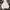 Polham Luxury Hoody Pria white photo 1