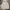 Guess Luxury Hoody Pria gray photo 1