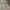 Guess Luxury Hoody Pria gray photo 2