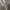 Guess Luxury Hoody Pria gray photo 5
